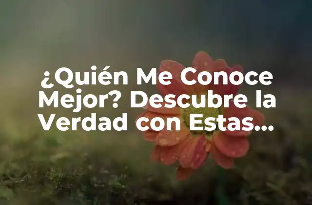 ¿quién Me Conoce Mejor? Descubre la Verdad con Estas Preguntas