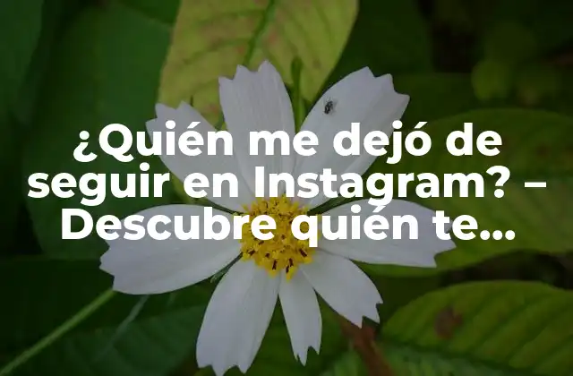 ¿quién Me Dejó de Seguir en Instagram? – Descubre Quién Te Abandonó