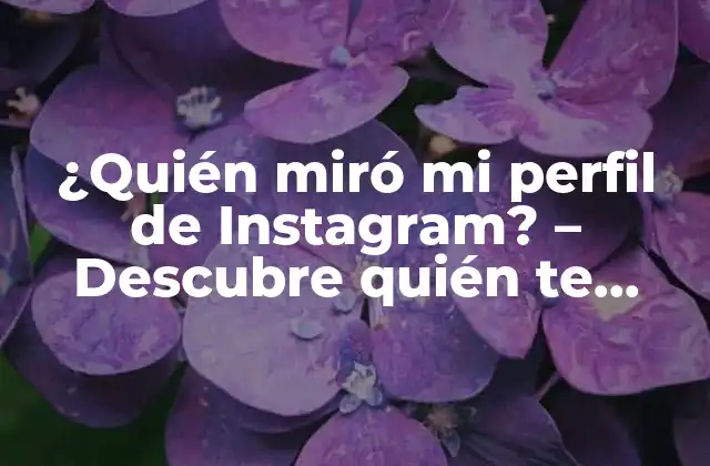 ¿Por qué la gente quiere saber quién miró su perfil de Instagram?