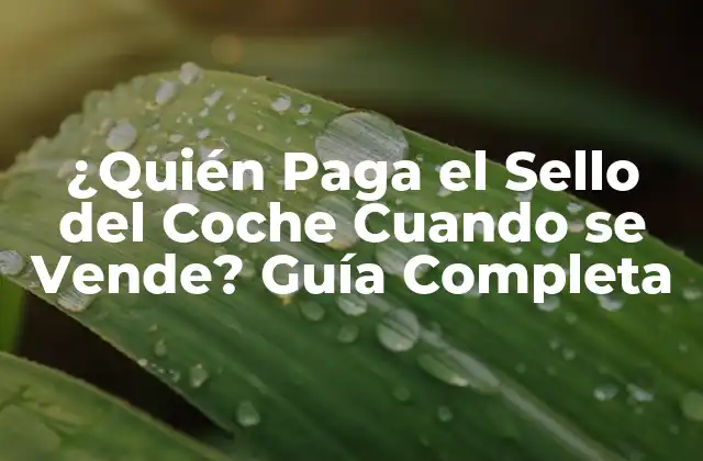 ¿quién Paga el Sello Del Coche Cuando Se Vende? Guía Completa