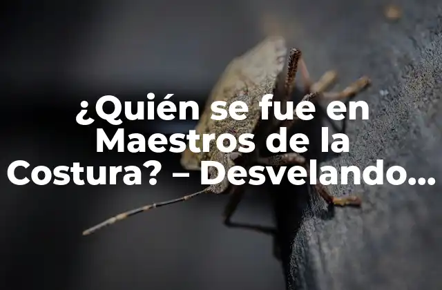 ¿quién Se Fue en Maestros de la Costura? – Desvelando el Misterio