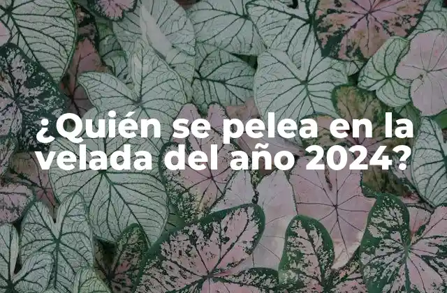 ¿quién Se Pelea en la Velada Del Año 2024?