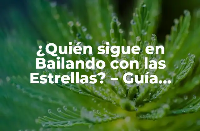 ¿quién Sigue en Bailando con las Estrellas? – Guía Definitiva a los Concursantes y la Competencia