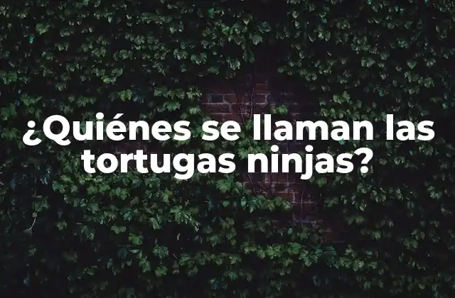 ¿quiénes Se Llaman las Tortugas Ninjas?