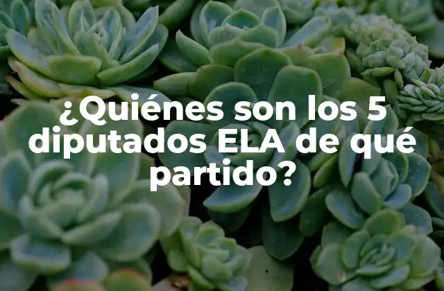 ¿quiénes Son los 5 Diputados Ela de Qué Partido?