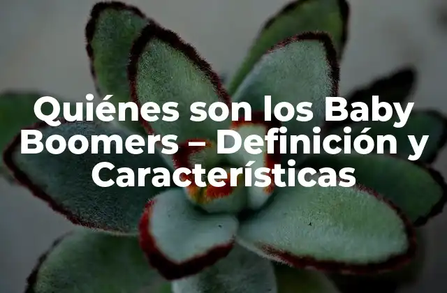 Quiénes Son los Baby Boomers – Definición y Características