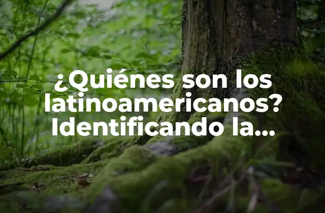 ¿quiénes Son los Latinoamericanos? Identificando la Diversidad Cultural