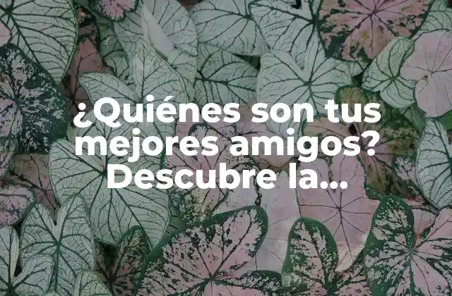 ¿quiénes Son Tus Mejores Amigos? Descubre la Importancia de las Amistades Verdaderas