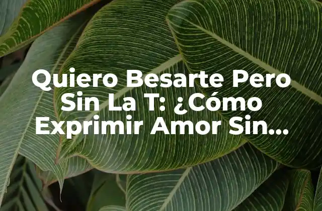 Quiero Besarte pero sin la T: ¿cómo Exprimir Amor sin Toques Físicos? 2 El Poder del Lenguaje