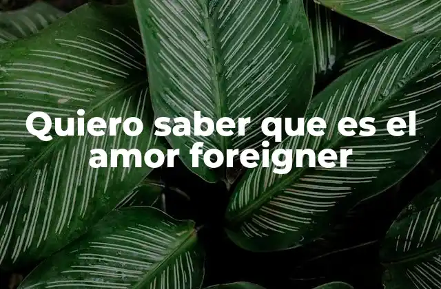 Quiero Saber que es el Amor Foreigner