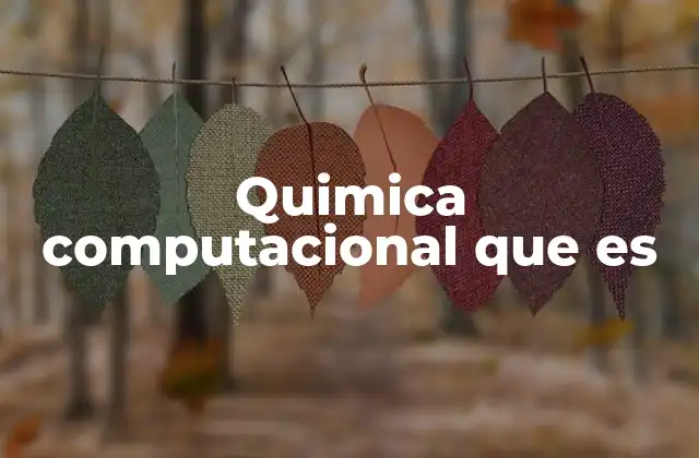 Quimica Computacional que es