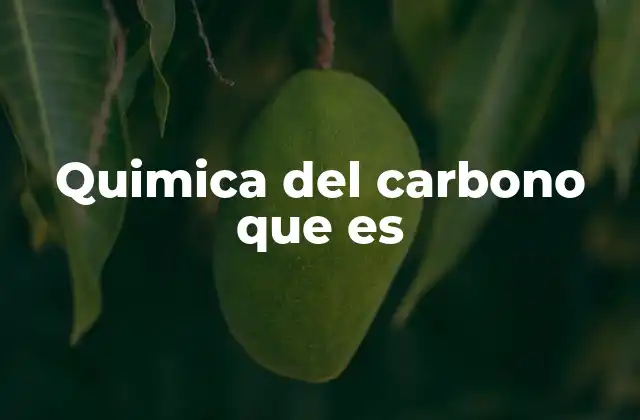 Quimica Del Carbono que es