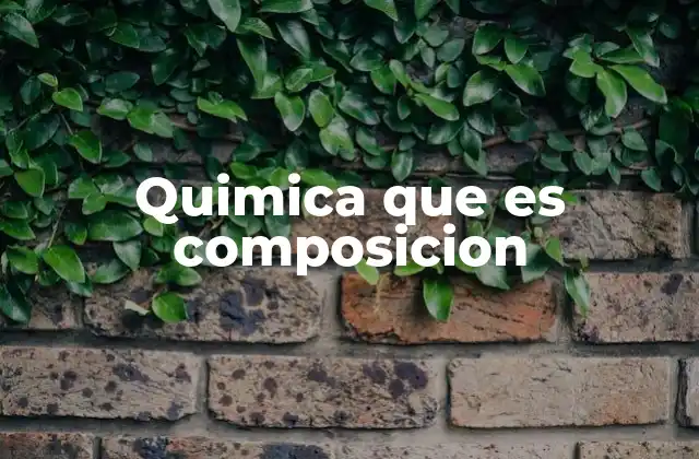 Quimica que es Composicion
