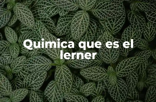 Quimica que es el Lerner