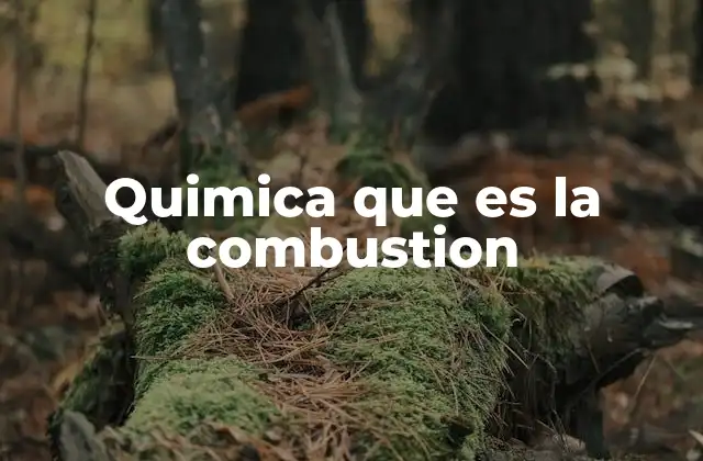 Quimica que es la Combustion
