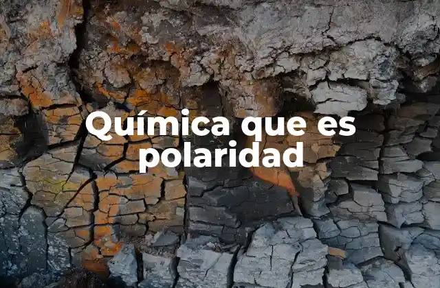Química que es Polaridad 2 La importancia de la polaridad en las fuerzas intermoleculares