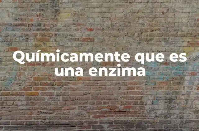 Químicamente que es una Enzima