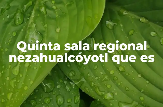 Quinta Sala Regional Nezahualcóyotl que es
