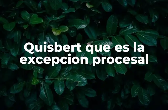 Quisbert que es la Excepcion Procesal