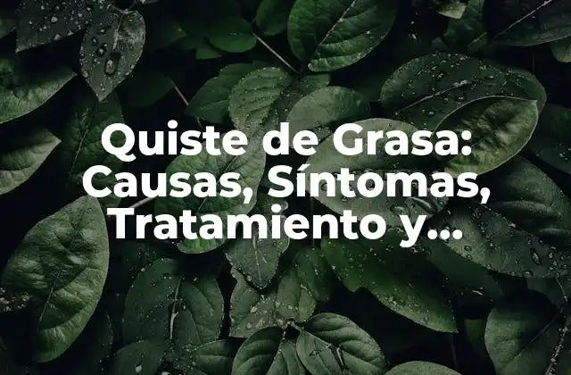 Quiste de Grasa: Causas, Síntomas, Tratamiento y Prevención