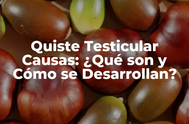 Quiste Testicular Causas: ¿qué Son y Cómo Se Desarrollan?