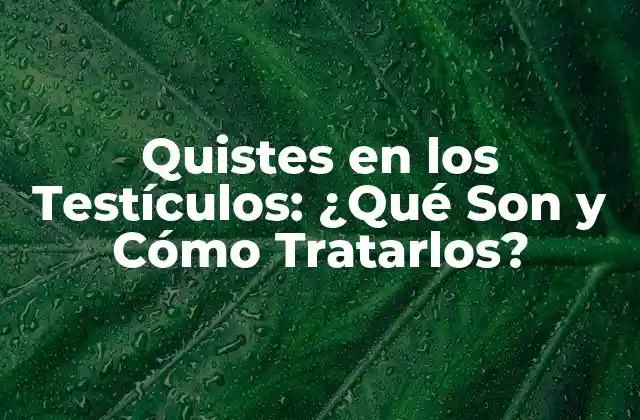 Quistes en los Testículos: ¿qué Son y Cómo Tratarlos?