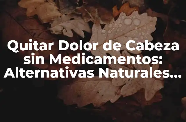Quitar Dolor de Cabeza sin Medicamentos: Alternativas Naturales y Efectivas 2 Causas del Dolor de Cabeza