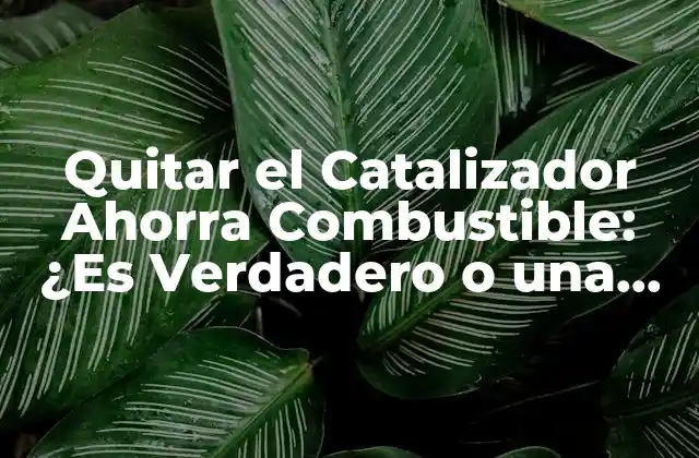 Quitar el Catalizador Ahorra Combustible: ¿es Verdadero o una Leyenda Urbana?