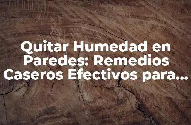 Quitar Humedad en Paredes: Remedios Caseros Efectivos para Eliminar la Humedad
