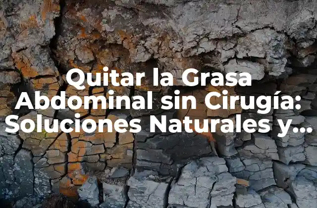 Quitar la Grasa Abdominal sin Cirugía: Soluciones Naturales y Eficientes