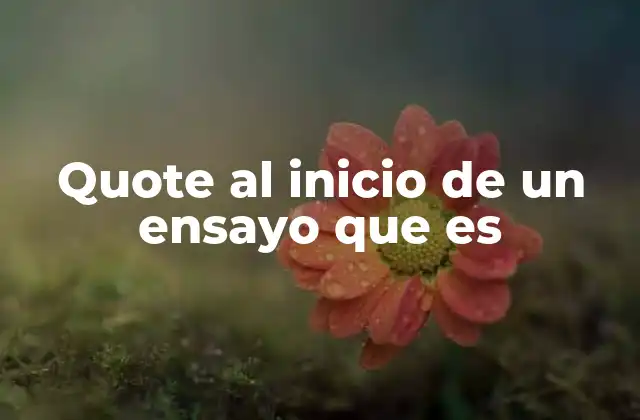 Quote Al Inicio de un Ensayo que es