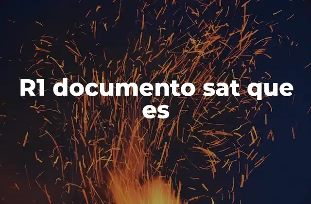R1 Documento Sat que es