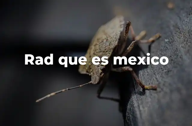 Rad que es Mexico