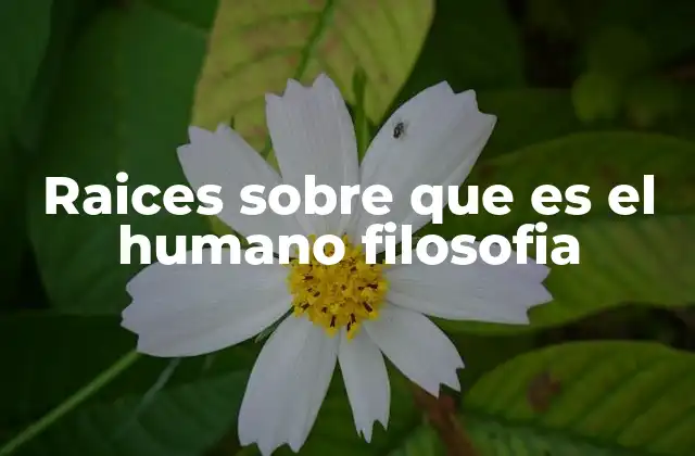 Raices sobre que es el Humano Filosofia