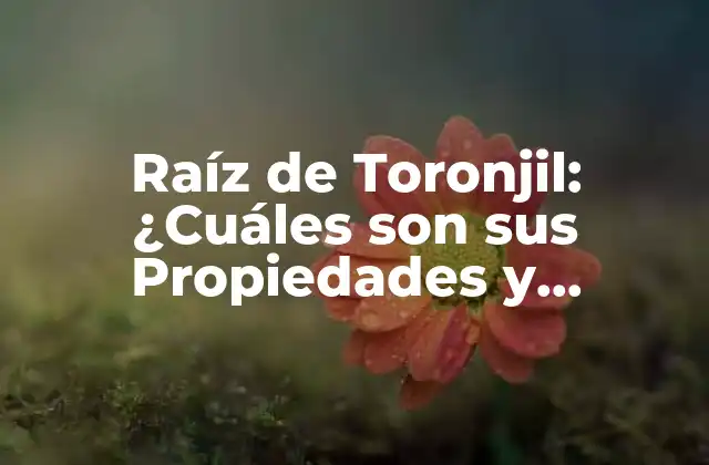 Raíz de Toronjil: ¿cuáles Son Sus Propiedades y Beneficios? 2 Propiedades Medicinales de la Raíz de Toronjil