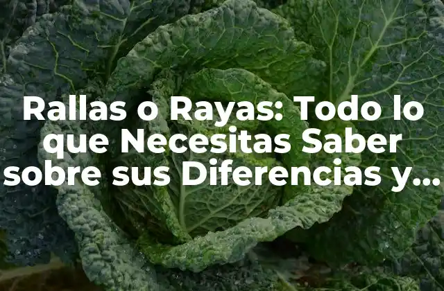 Rallas o Rayas: Todo Lo que Necesitas Saber sobre Sus Diferencias y Usos