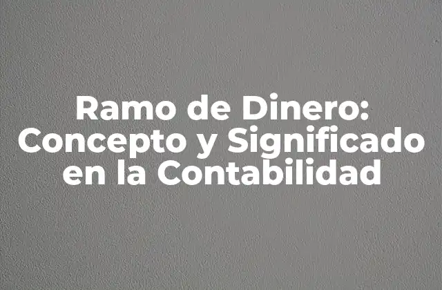 Ramo de Dinero: Concepto y Significado en la Contabilidad