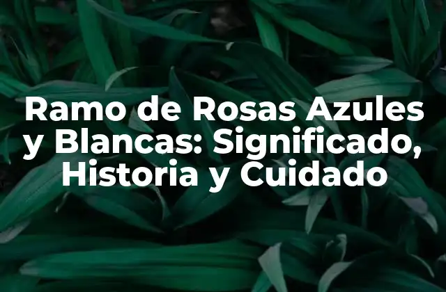 Ramo de Rosas Azules y Blancas: Significado, Historia y Cuidado
