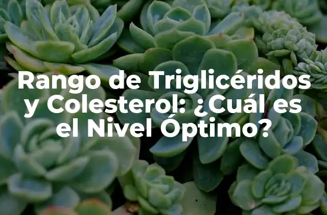 Rango de Triglicéridos y Colesterol: ¿cuál es el Nivel Óptimo?