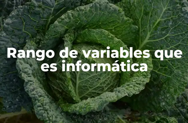 Rango de Variables que es Informática