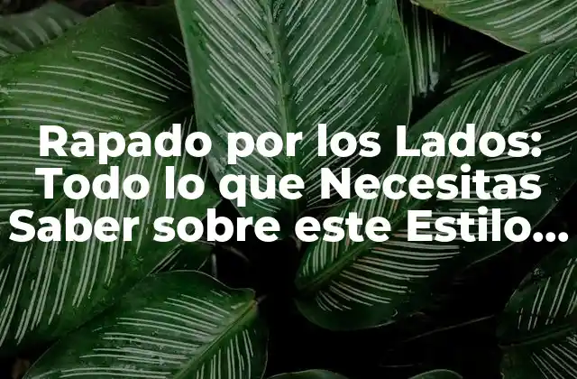 Rapado por los Lados: Todo Lo que Necesitas Saber sobre Este Estilo de Pelo