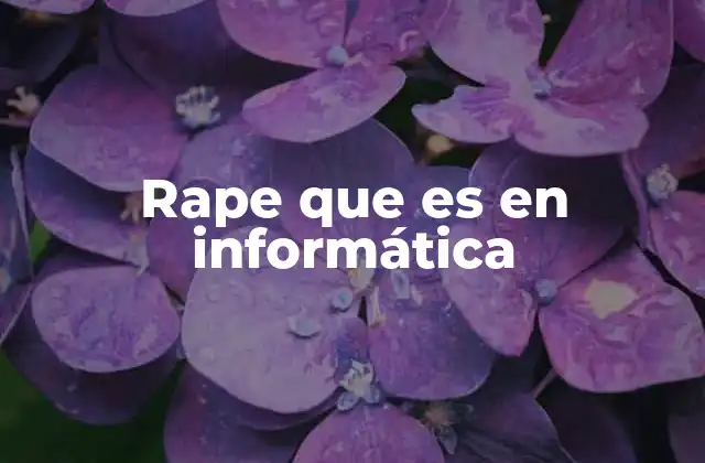 Cómo se relaciona el término con la programación y el hacking