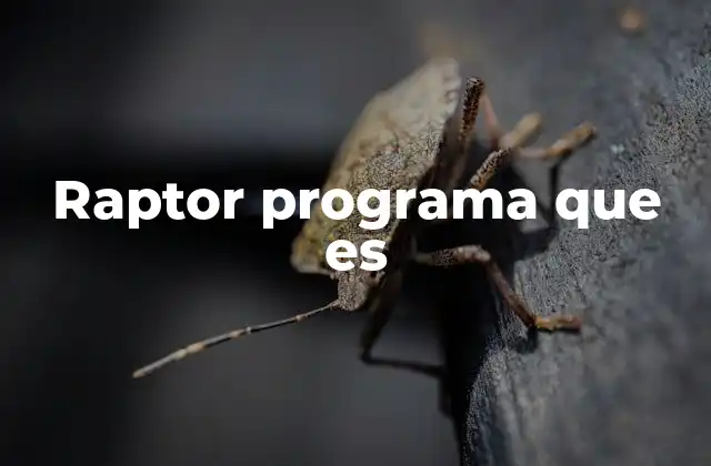 Raptor Programa que es