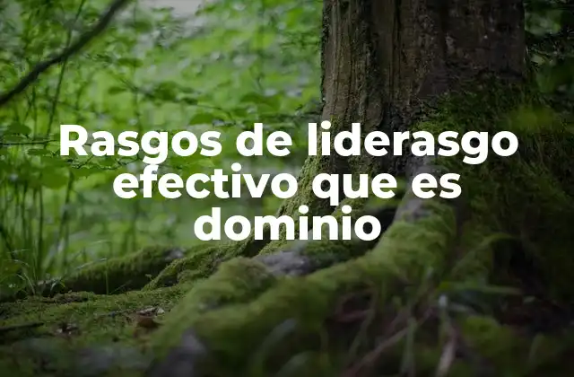 Rasgos de Liderasgo Efectivo que es Dominio 2 La base del liderazgo efectivo: empatía y autoridad equilibradas