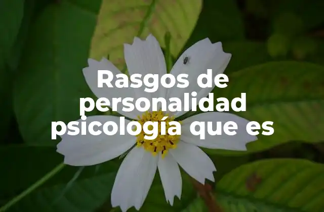 Rasgos de Personalidad Psicología que es