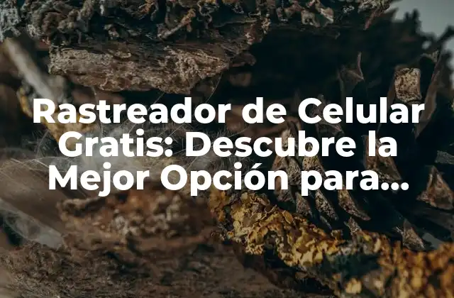 Rastreador de Celular Gratis: Descubre la Mejor Opción para Localizar Tu Teléfono
