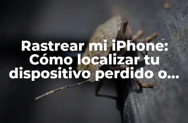 Rastrear Mi Iphone: Cómo Localizar Tu Dispositivo Perdido o Robado
