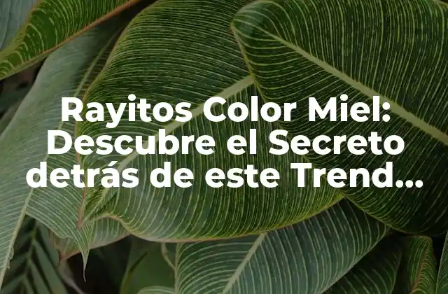 Rayitos Color Miel: Descubre el Secreto Detrás de Este Trend de Belleza