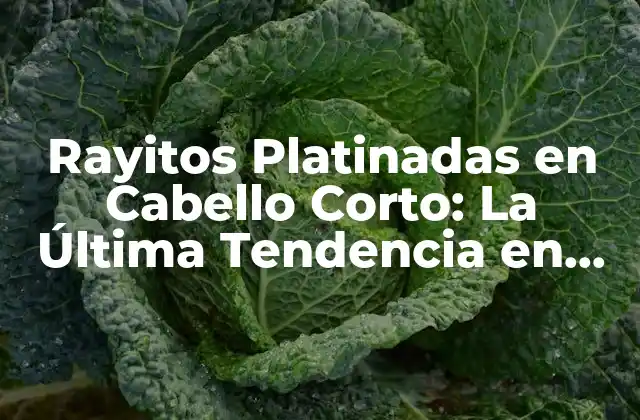 Rayitos Platinadas en Cabello Corto: la Última Tendencia en Peinados