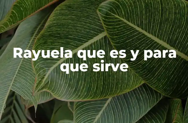 Rayuela que es y para que Sirve